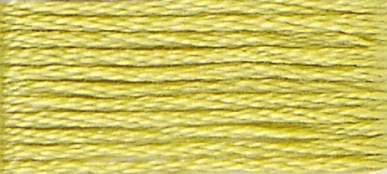 Picture of 12 - DMC Stranded Cotton 8m Skein