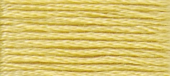 Picture of 17 - DMC Stranded Cotton 8m Skein