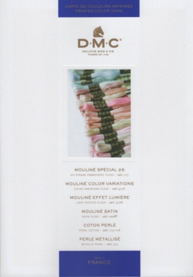 Picture of DMC Stranded Cotton Floss Shade Card (printed) - W100BR