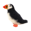 Picture of Atlantic Puffin Needle Felting Kit