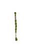 Picture of 937 - DMC Perle Cotton Small Size 8 (25 Metres)