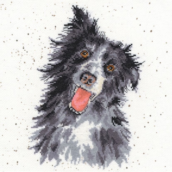 Picture of Hannah Dale - Collie Cross Stitch Kit by Bothy Threads