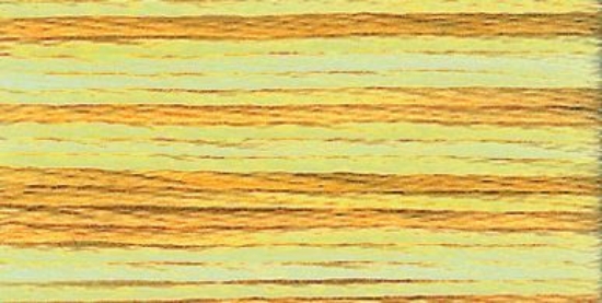 Picture of 1303 - Anchor Stranded Multi Colour Cotton 8m Skein