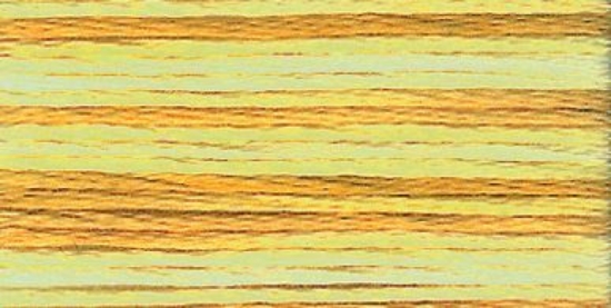 Picture of 1303 - Anchor Stranded Multi Colour Cotton 8m Skein