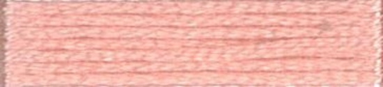 Picture of 6 - Anchor Stranded Cotton 8m Skein