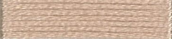 Picture of 376 - Anchor Stranded Cotton 8m Skein