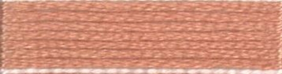 Picture of 882 - Anchor Stranded Cotton 8m Skein