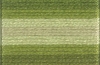 Picture of 1216 - Anchor Stranded Cotton 8m Skein
