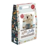 Picture of Little Teddy Needle Felting Kit