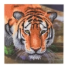 Picture of Tiger , 18x18cm Crystal Art Card