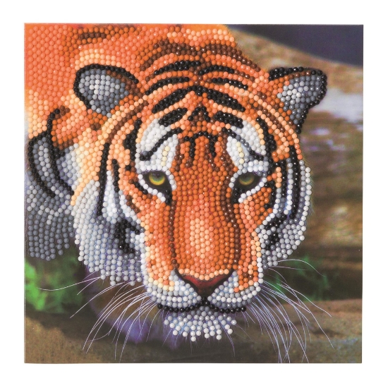 Picture of Tiger , 18x18cm Crystal Art Card