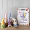 Picture of Spring Gnomes Needle Felting Kit