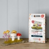 Picture of Woodland Toadstools Needle Felting Kit