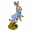 Picture of Peter Rabbit Stolen Radishes Needle Felting Kit