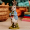 Picture of Peter Rabbit Stolen Radishes Needle Felting Kit