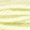 Picture of 724 - DMC Tapestry Wool 8m Skein