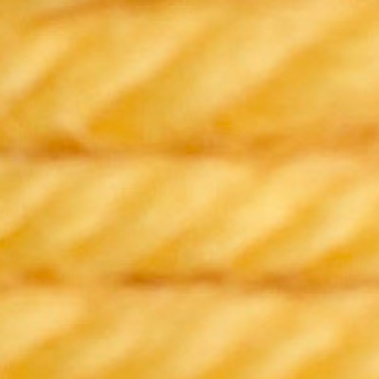 Picture of 7725 - DMC Tapestry Wool 8m Skein