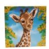 Picture of Baby Giraffe 18x18cm Crystal Art Card