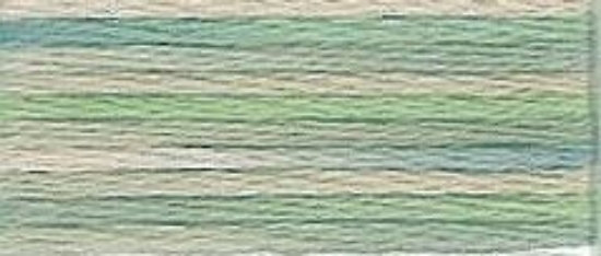 Picture of 4065 - DMC Colour Variations Thread - 8m Skein