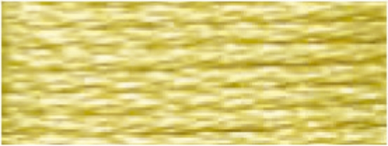 Picture of S307 - DMC Satin Thread - 8m Skein