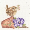 Picture of Pottering About Bird & Flowerpot - (Hannah Dale) Cross Stitch Kit By Bothy Threads