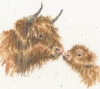 Picture of Gentle One Highland Cow Cross Stitch Kit by Bothy Threads