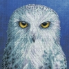 Picture of The Menagerie: Wisdom Owl Cross Stitch Kit by Bothy Threads