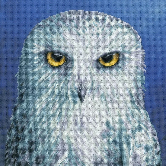 Picture of The Menagerie: Wisdom Owl Cross Stitch Kit by Bothy Threads