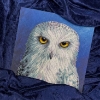 Picture of The Menagerie: Wisdom Owl Cross Stitch Kit by Bothy Threads