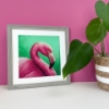 Picture of The Managerie: Balance Cross Stitch Kit By Bothy Threads