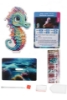 Picture of Seahorse - Wildlife Crystal Art Buddy Kit