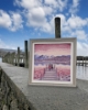 Picture of A Pawfect Place By The Water (Lucy Pittaway) Cross Stitch Kit By Bothy Threads