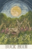 Picture of Buck Moon - (Driftwood Designs) Cross Stitch Kit By Bothy Threads