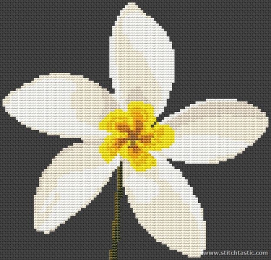 Crochet Plumeria Flower Pattern Best Flower Site