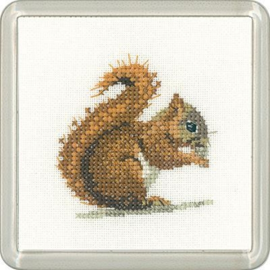 Picture of Red Squirrel - Little Friends Coaster Cross Stitch Kit