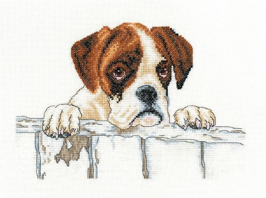 Picture of Bailey - 14ct Aida Cross Stitch Kit