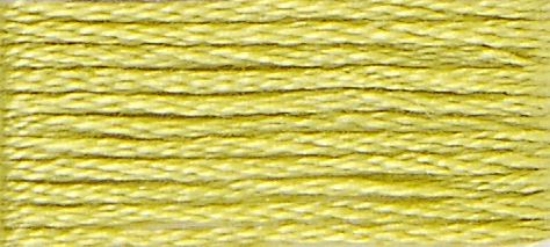 Picture of 12 - DMC Stranded Cotton 8m Skein