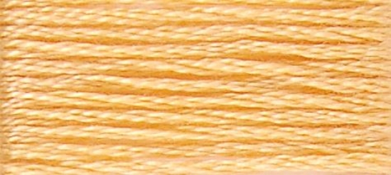 Picture of 19 - DMC Stranded Cotton 8m Skein