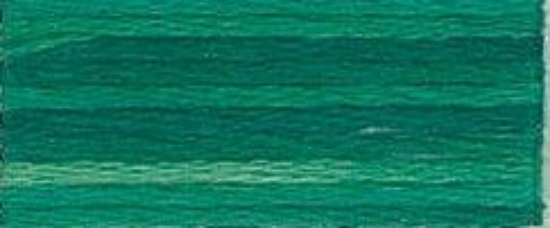 Picture of 4045 - DMC Colour Variations Thread - 8m Skein