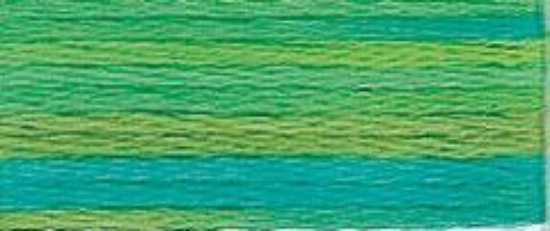 Picture of 4050 - DMC Colour Variations Thread - 8m Skein