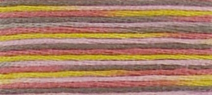 Picture of 4509 - DMC Coloris Stranded Cotton Thread - 8m Skein