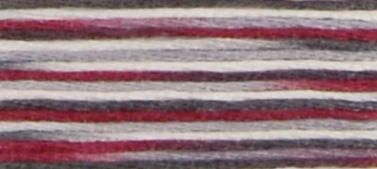 Picture of 4513 - DMC Coloris Stranded Cotton Thread - 8m Skein