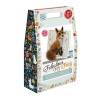 Picture of Fabulous Mr Foxy Needle Felting Kit