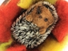 Picture of Curled Up Hedgehog Needle felting Kit