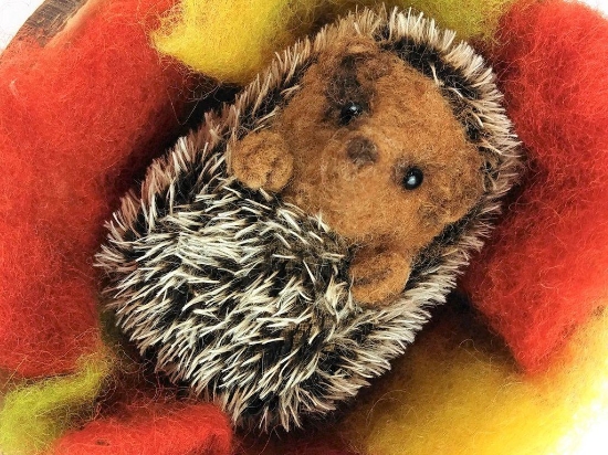 Picture of Curled Up Hedgehog Needle felting Kit