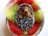 Picture of Curled Up Hedgehog Needle felting Kit