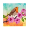 Picture of Robin, 18x18cm Crystal Art Card
