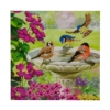 Picture of Birds, 18x18cm Crystal Art Card