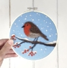Picture of Robin in a Hoop Needle Felting Kit