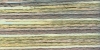 Picture of 1300 - Anchor Stranded Multi Colour Cotton 8m Skein